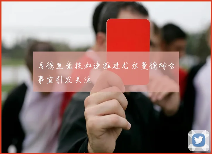 红牛车队主场球迷创上座率纪录 球队用胜利回馈支持